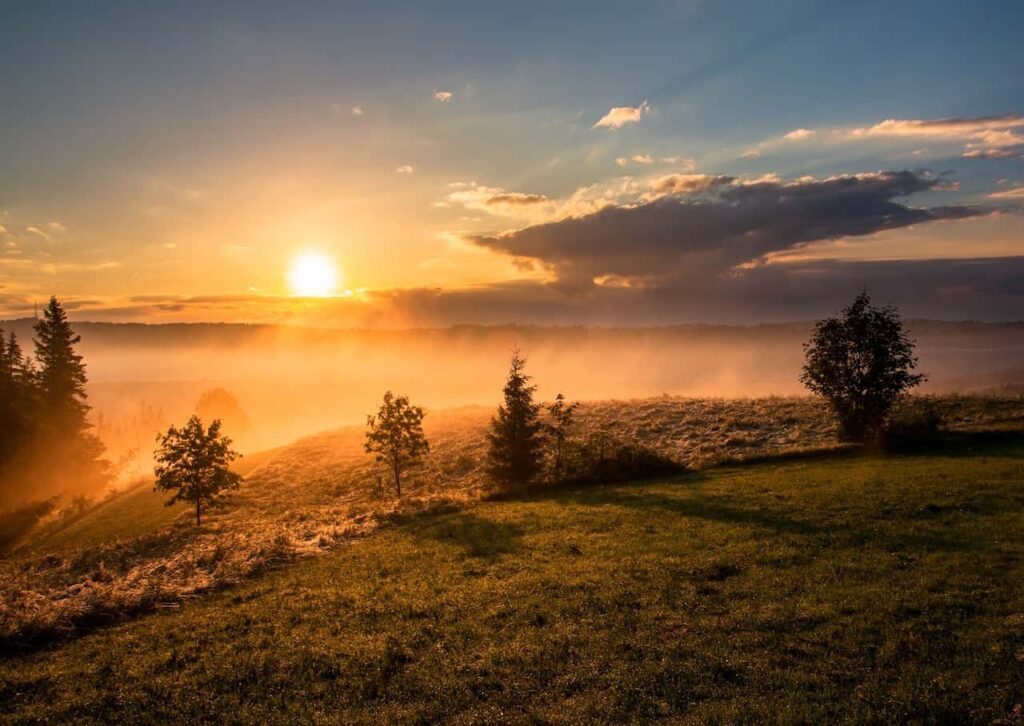 Sunrise over a misty field with trees and a glowing sky